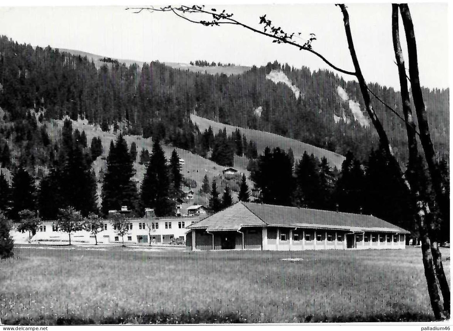 FR - LAC NOIR Camp De Vacances - Cures D'air Des Mutualités Chrétiennes - Photo Mulhauser Fribourg - Pas Circulé - Sonstige & Ohne Zuordnung