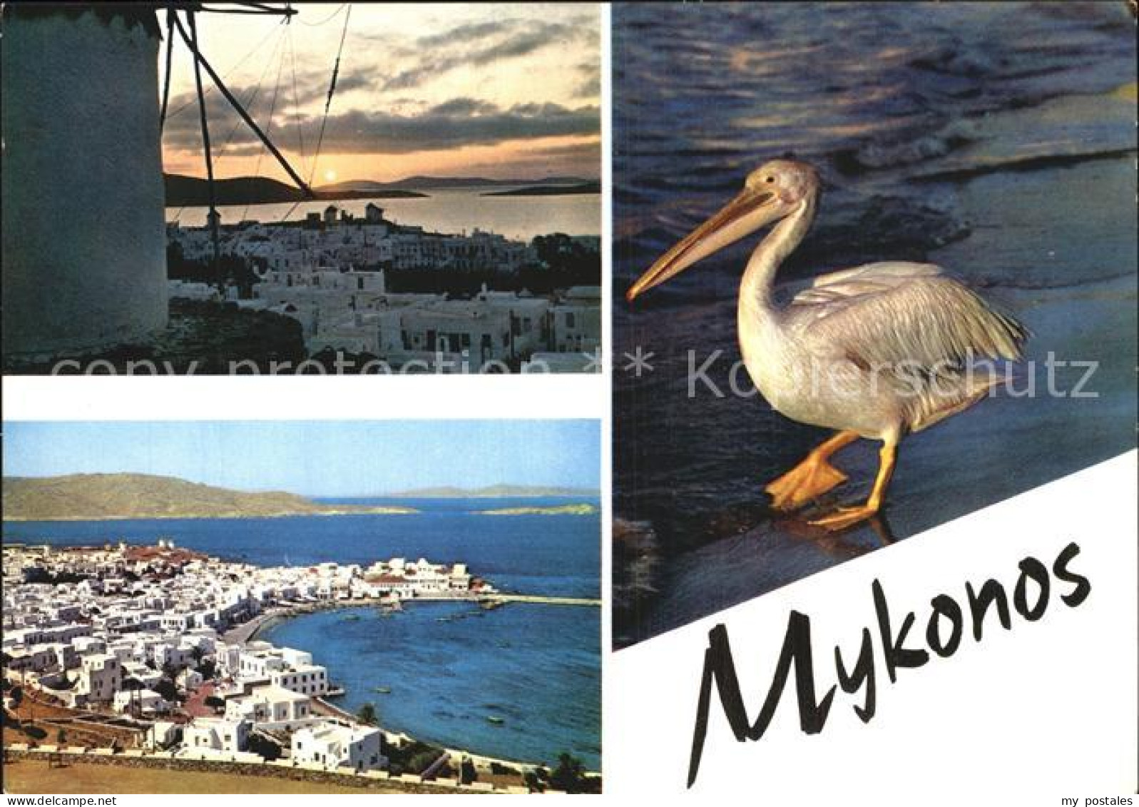 72545777 Mykonos Kykladeninsel Aegaeis Pelikan Mykonos Kykladeninsel - Greece