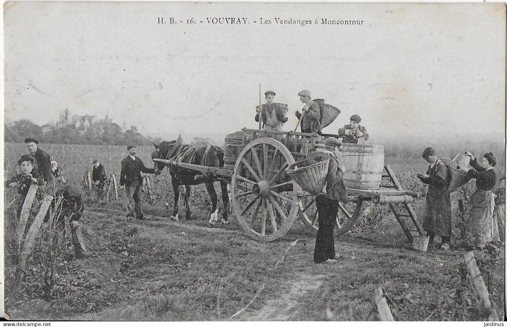 Les Vendanges à Moncontour - Vouvray
