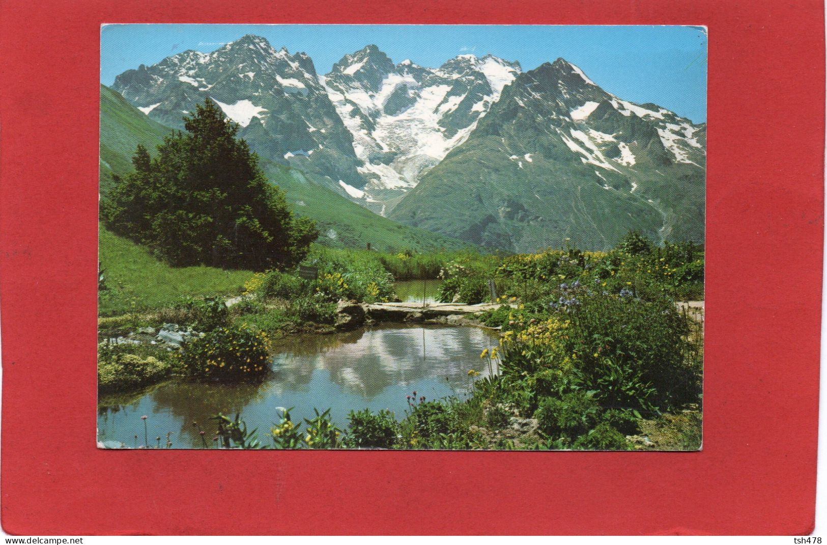 05-----Route De GRENOBLE à BRIANCON--le Jardin Alpin Au Col Du Lautaret Et Massif De La Meije---voir 2 Scans - Autres & Non Classés