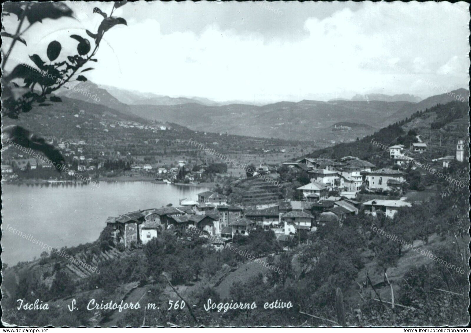 Cr423 Cartolina Ischia S.cristoforo Soggiorno Estivo Provincia Di Trento - Trento