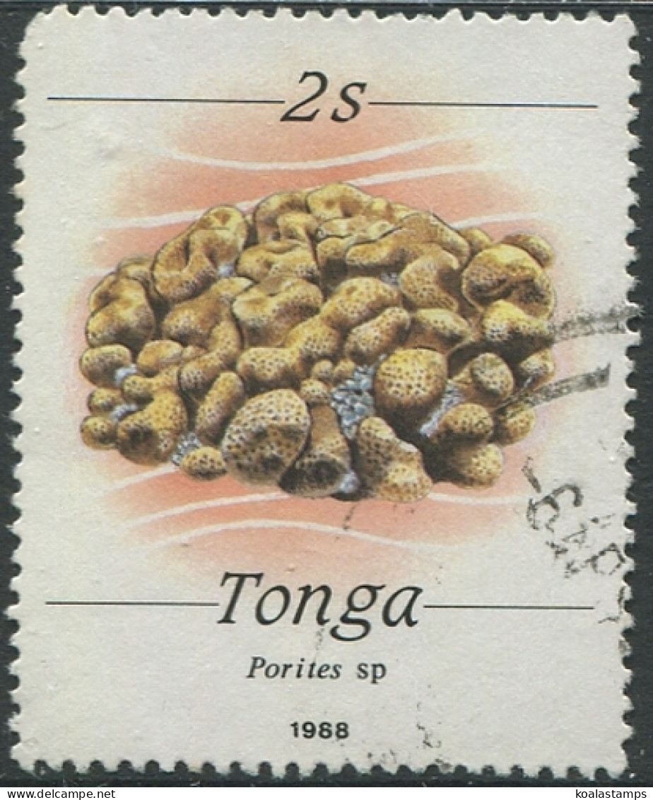 Tonga 1988 SG1000 2s Stony Coral FU - Tonga (1970-...)