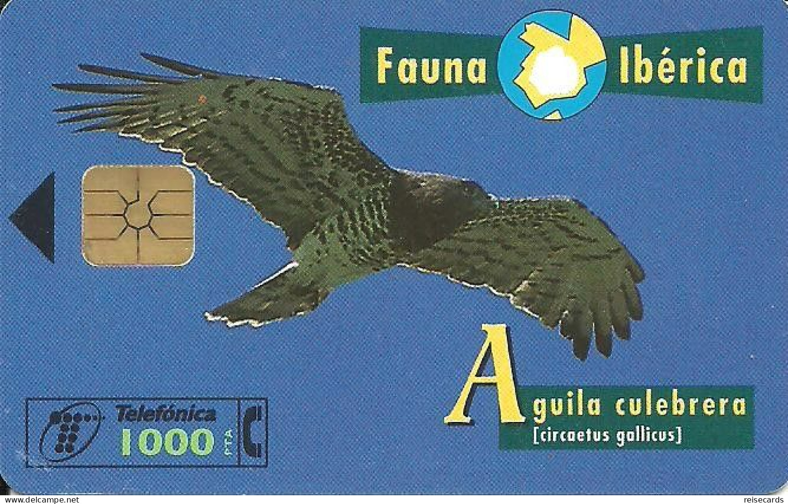 Spain: Telefonica - 1998 Fauna Ibérica, Aguila Culebrera - Privé-uitgaven