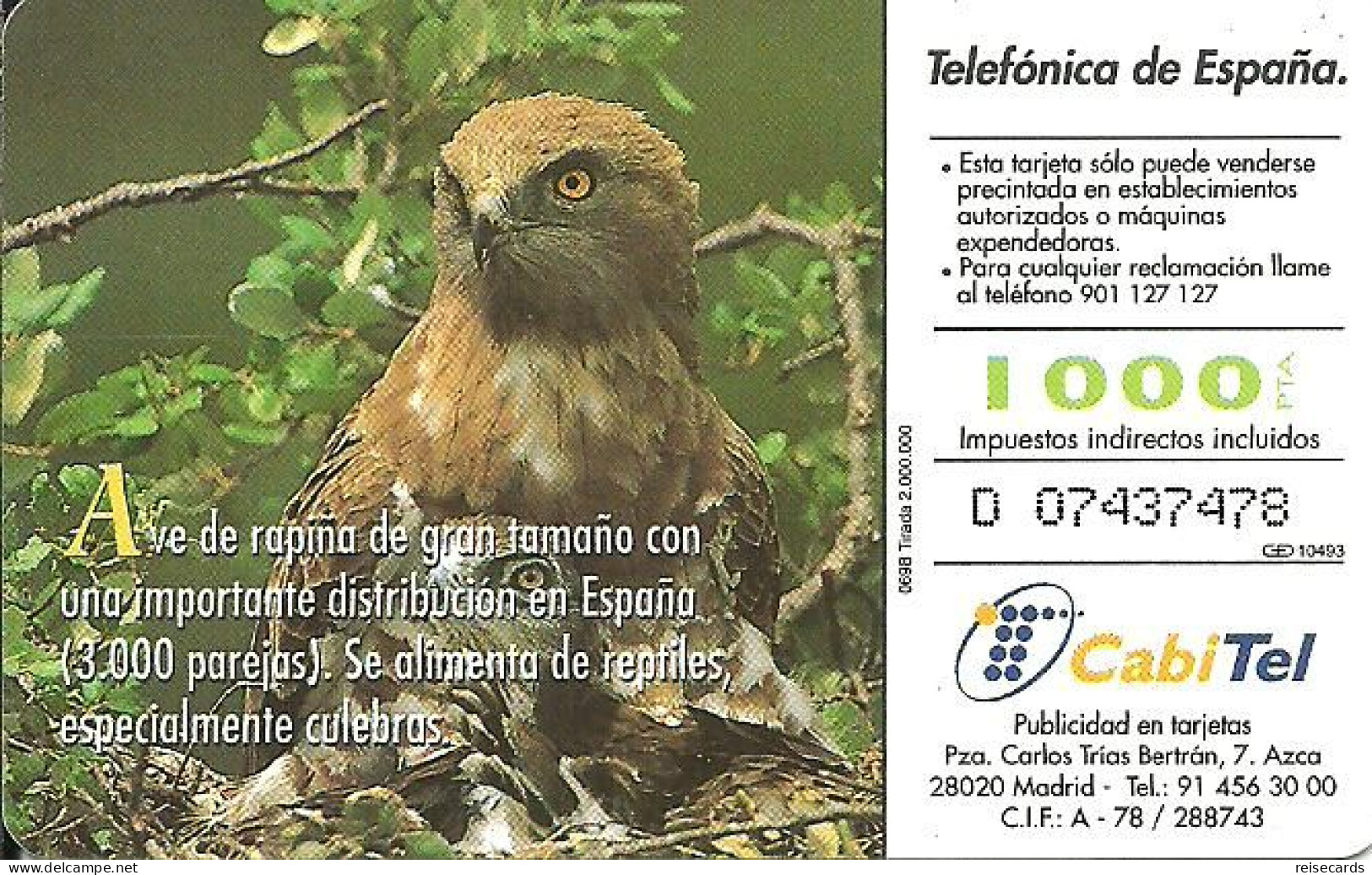 Spain: Telefonica - 1998 Fauna Ibérica, Aguila Culebrera - Emissions Privées