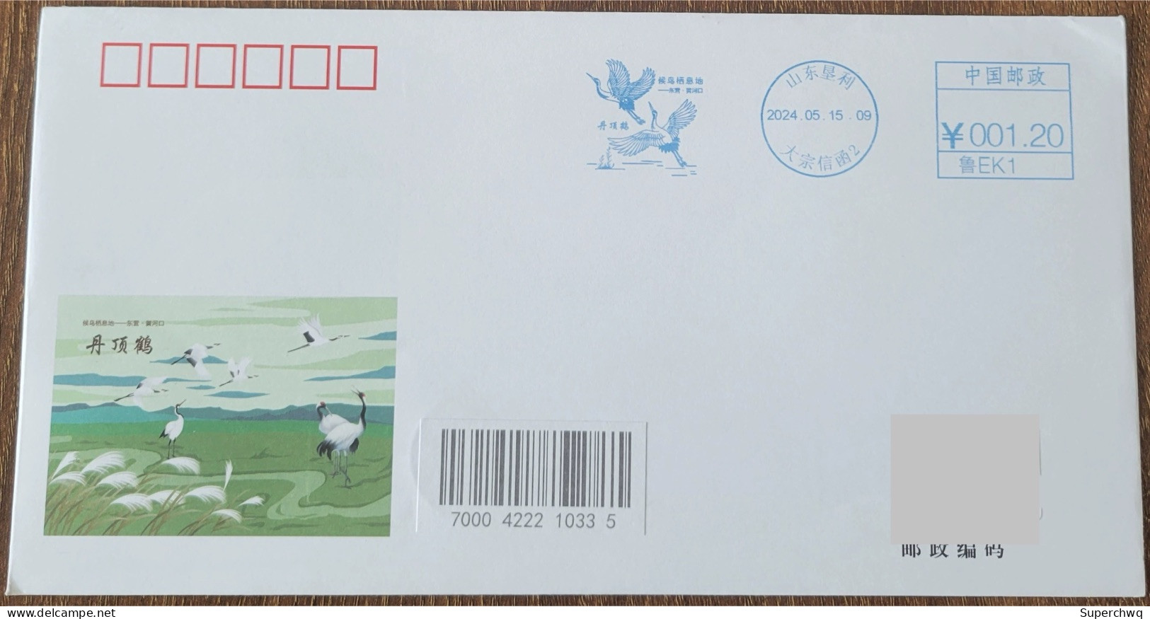 China Cover "Red Crowned Crane" (Kenli, Shandong) Postage Stamp First Day Actual Sent Art Seal - Postcards