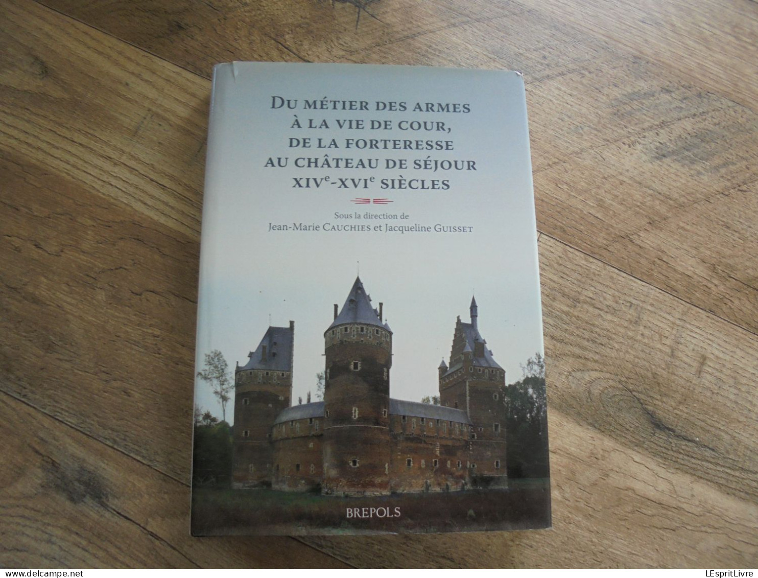 DU METIER DES ARMES à LA VIE DE COUR DE LA FORTERESSE AU CHÂTEAU Régionalisme Hainaut Ecaussines Lalaing De Croÿ Fort - Belgique