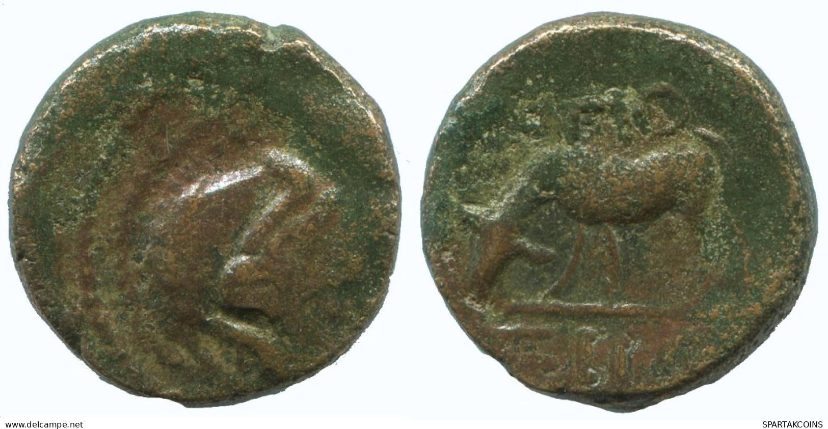 BULL Auténtico ORIGINAL GRIEGO ANTIGUO Moneda 4.1g/16mm #AA092.13.E.A - Griechische Münzen