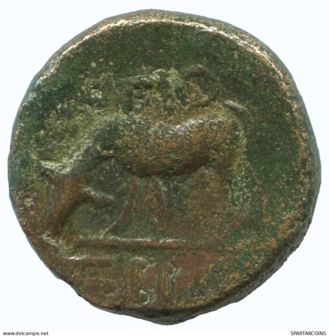 BULL Auténtico ORIGINAL GRIEGO ANTIGUO Moneda 4.1g/16mm #AA092.13.E.A - Griechische Münzen