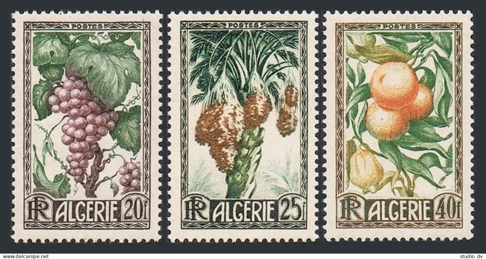 Algeria 229-231, MNH. Michel 290-292. Fruits 1950. Grapes, Dates, Orange, Lemons - Algerien (1962-...)