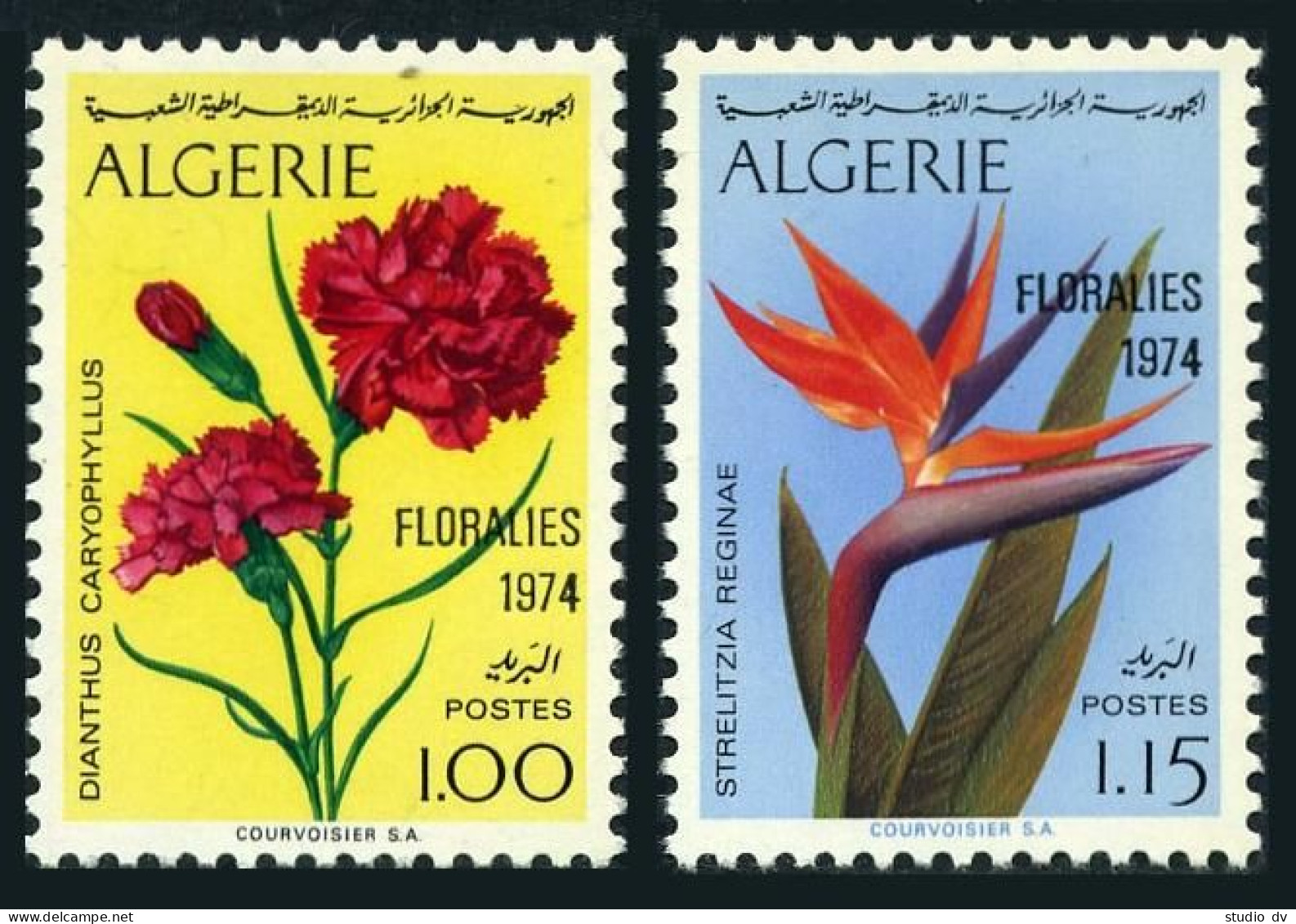 Algeria 518-519,MNH.Michel 628-629. FLORALIES 1974.Flowers. - Algérie (1962-...)