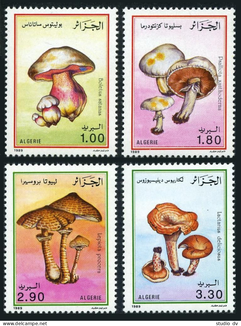 Algeria 908-911, MNH. Michel 1010-1013. Mushrooms, 1989. - Algeria (1962-...)