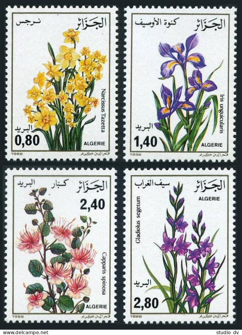Algeria 825-828,MNH.Michel 924-927. Flowers,1986. - Algeria (1962-...)