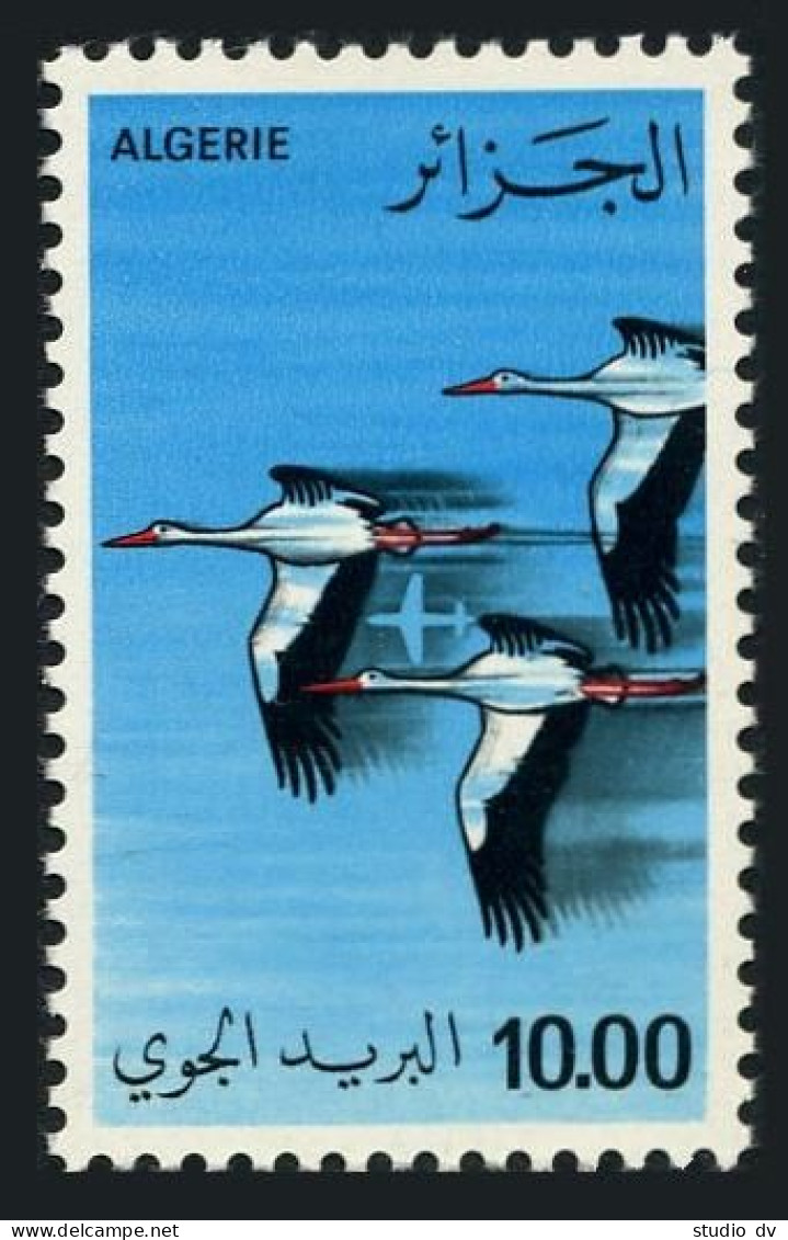 Algeria C19,MNH.Michel 738. Air Post,Birds 1979:Storks. - Algeria (1962-...)