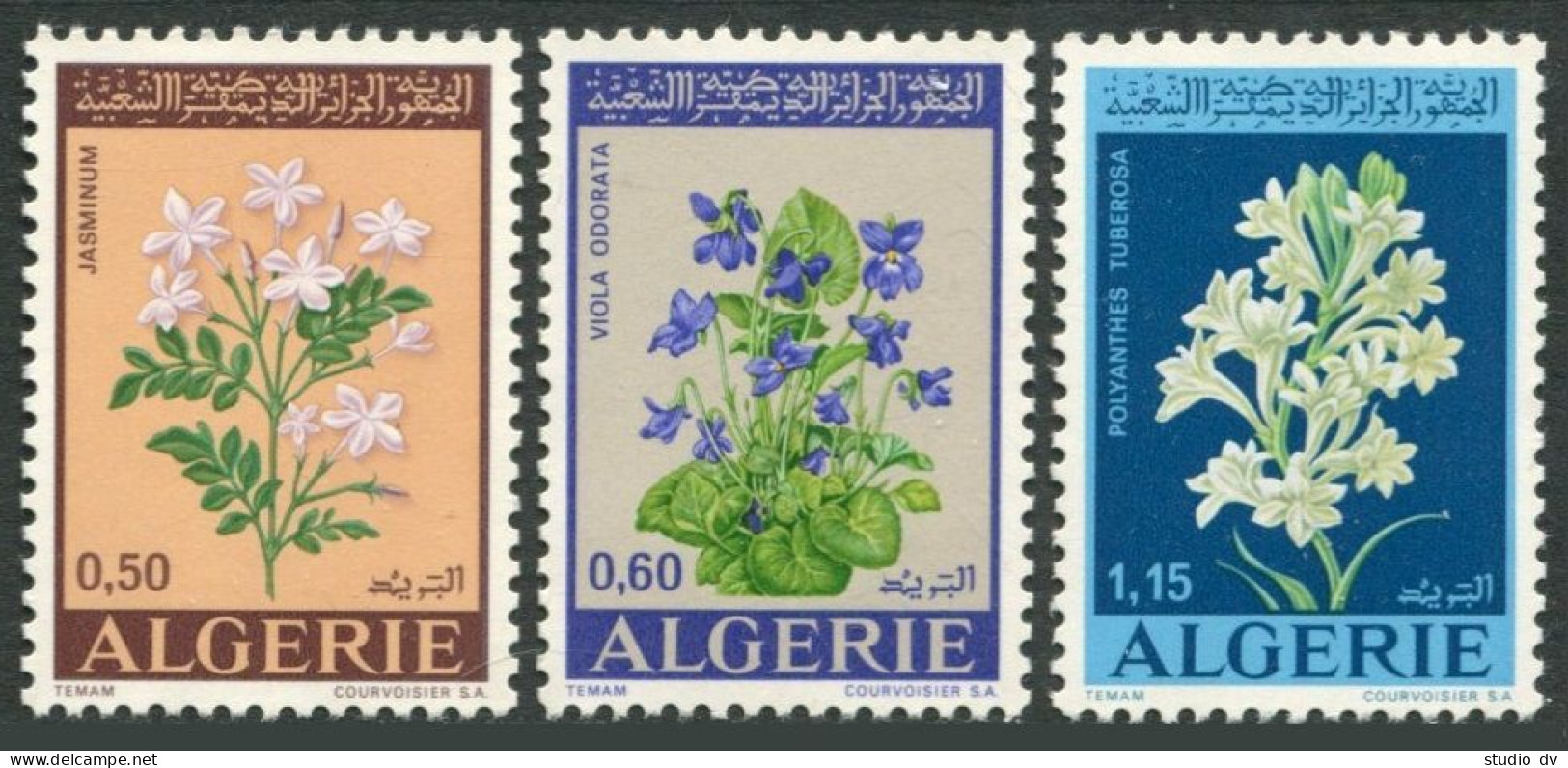 Algeria 479-481,MNH.Michel 589-591. Flowers 1972.Jasmine,Violets,Tuberose. - Algeria (1962-...)