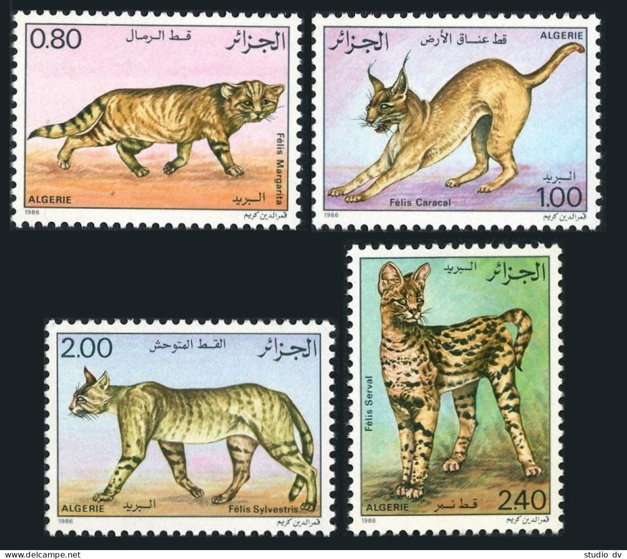 Algeria 801-804,MNH. Wildcats 1986.Felis Margarita,caracal,sylvestris,serval. - Algeria (1962-...)
