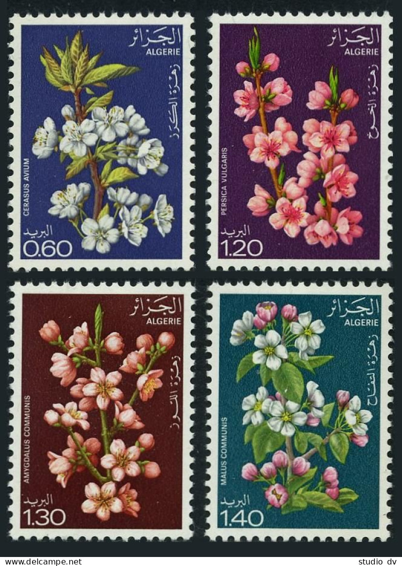 Algeria 607-610,MNH.Michel 718-721. Flowers 1978. - Algeria (1962-...)
