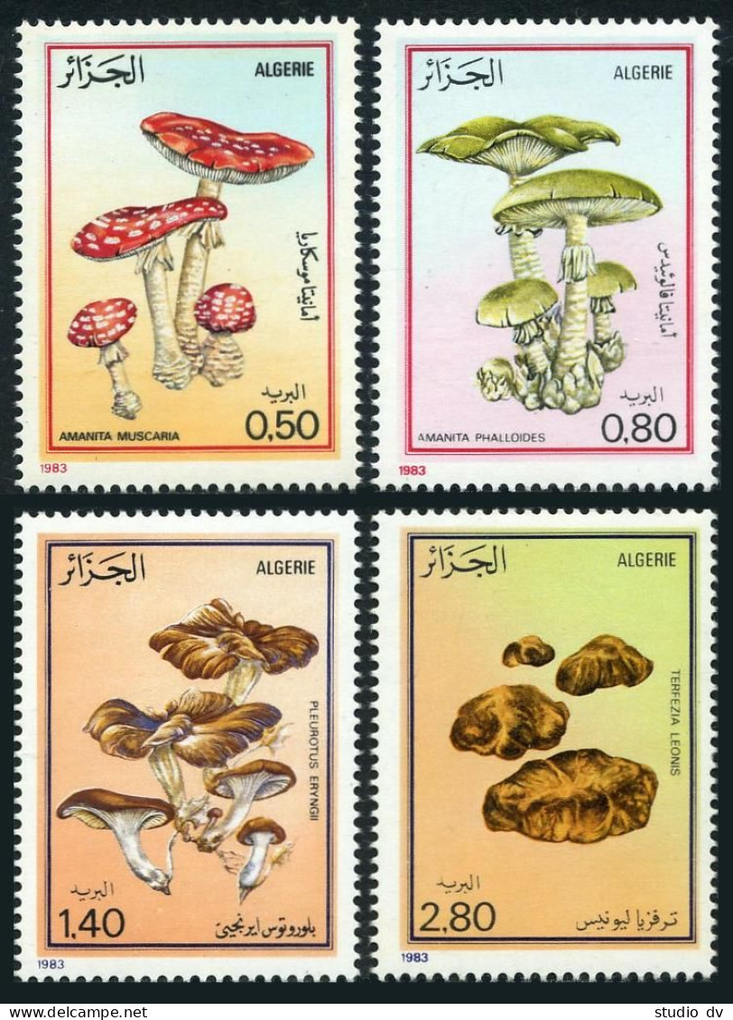 Algeria 716-719, MNH. Michel 827-830. Mushrooms, 1983. - Algérie (1962-...)