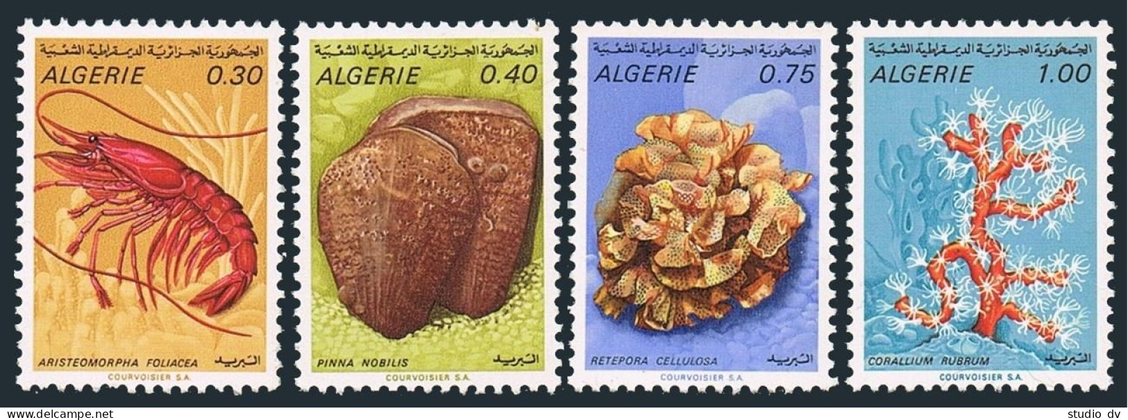 Algeria 435-438,MNH.Michel 544-547. 1970.Spiny Lobster,Mollusk,Retepora,Coral. - Algeria (1962-...)