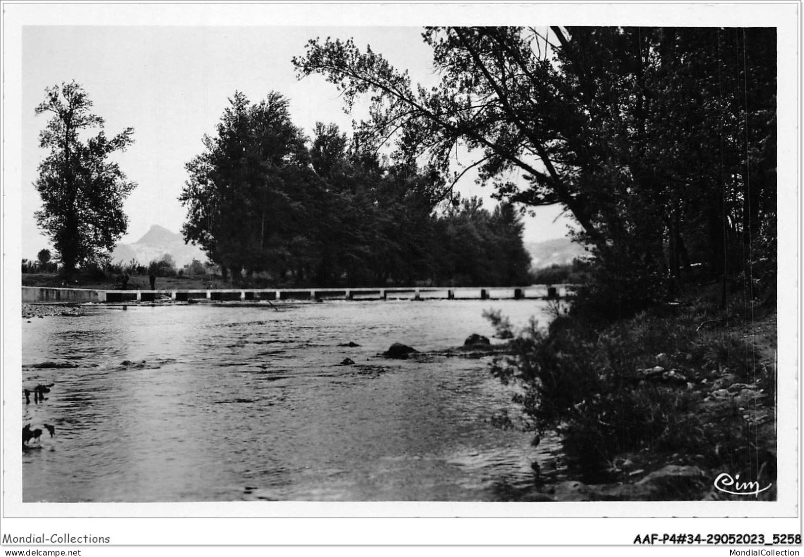 AAFP4-34-0332 - LAMALOU-LES-BAINS - Bords De L'Orb - Pont De La Vernière - Lamalou Les Bains