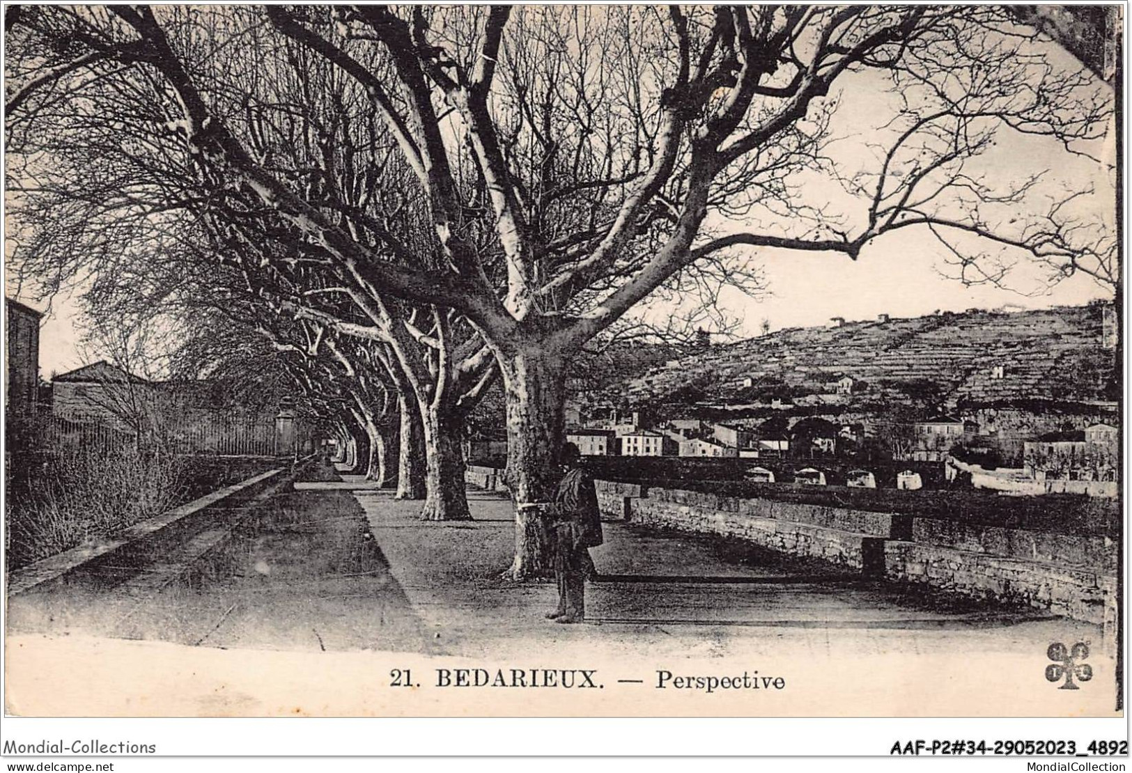 AAFP2-34-0149 - BEDARIEUX - Perspective - Bedarieux