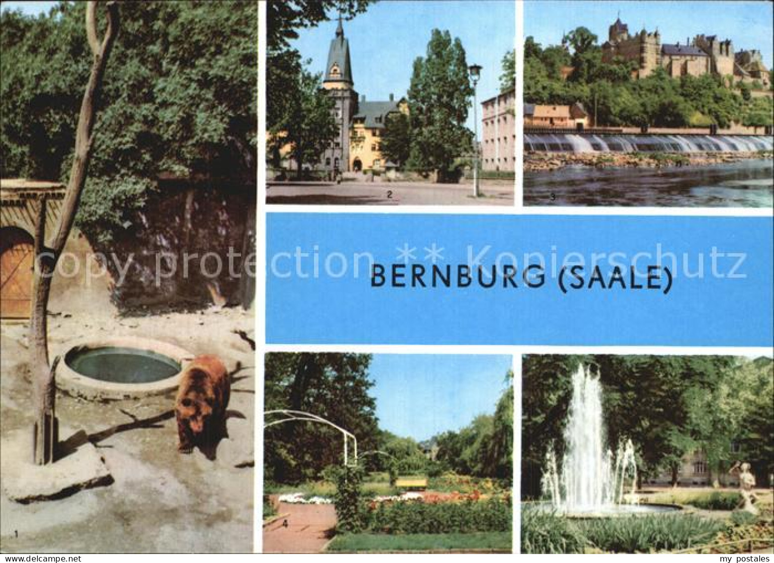 72542848 Bernburg Saale Baerenfreigehege Am Schloss Kurhaus Schloss Rosengarten  - Bernburg (Saale)