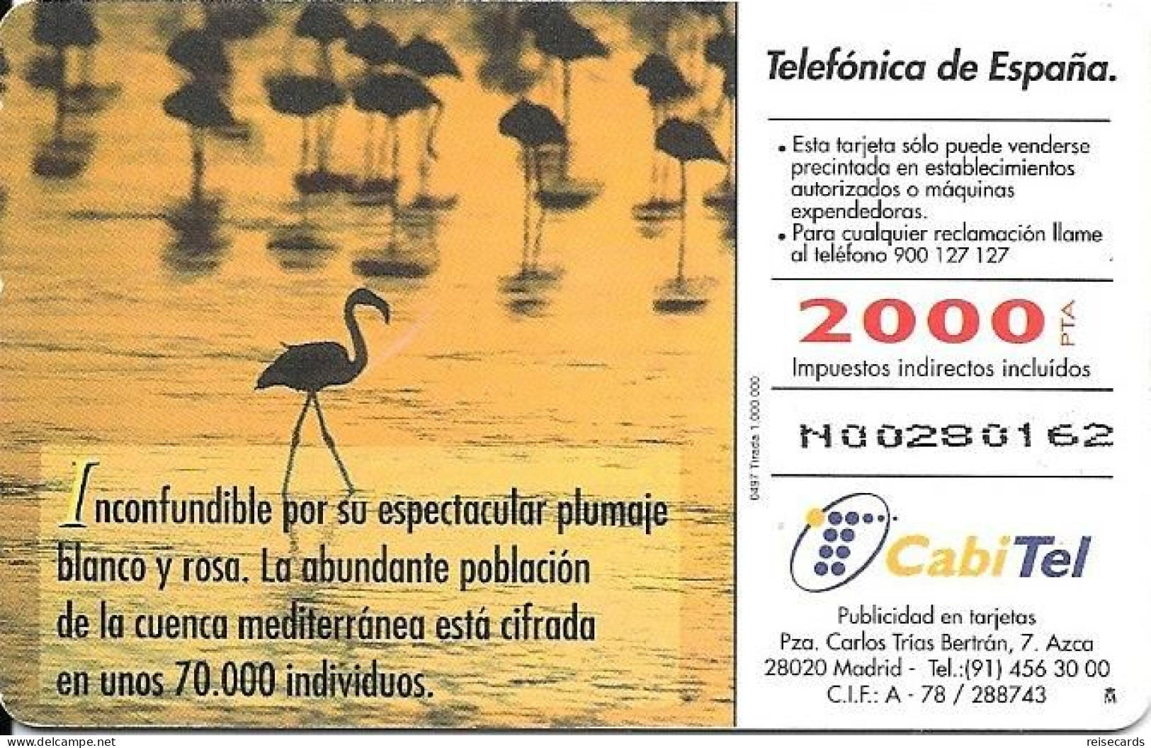 Spain: Telefonica - 1997 Fauna Ibérica, Flamenco - Privatausgaben