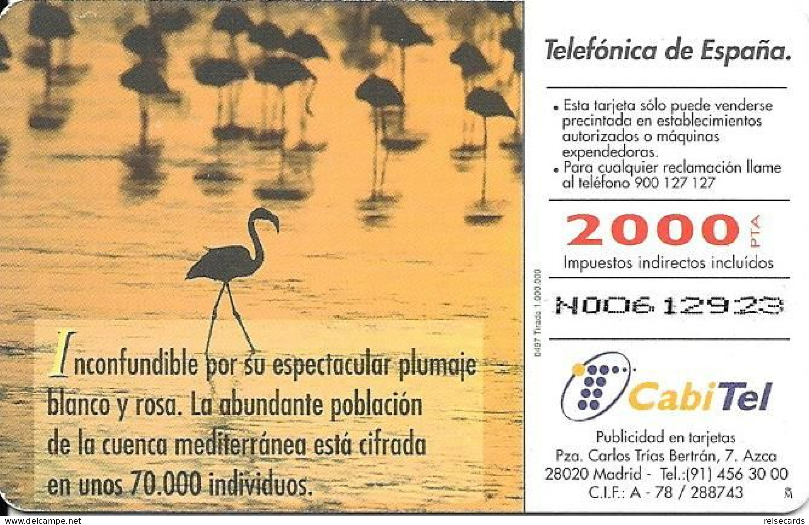 Spain: Telefonica - 1997 Fauna Ibérica, Flamenco - Private Issues