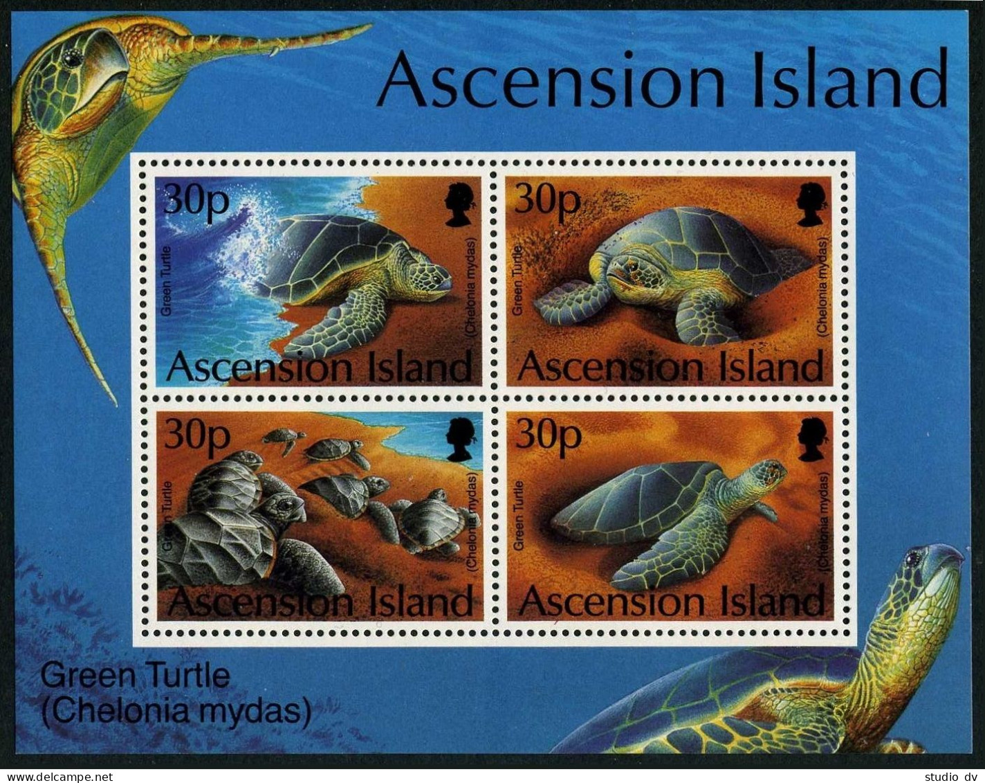 Ascension 589 Ad Sheet,MNH. Michel 637-640 Bl.26. Marine Life 1994.Green Turtle. - Ascension