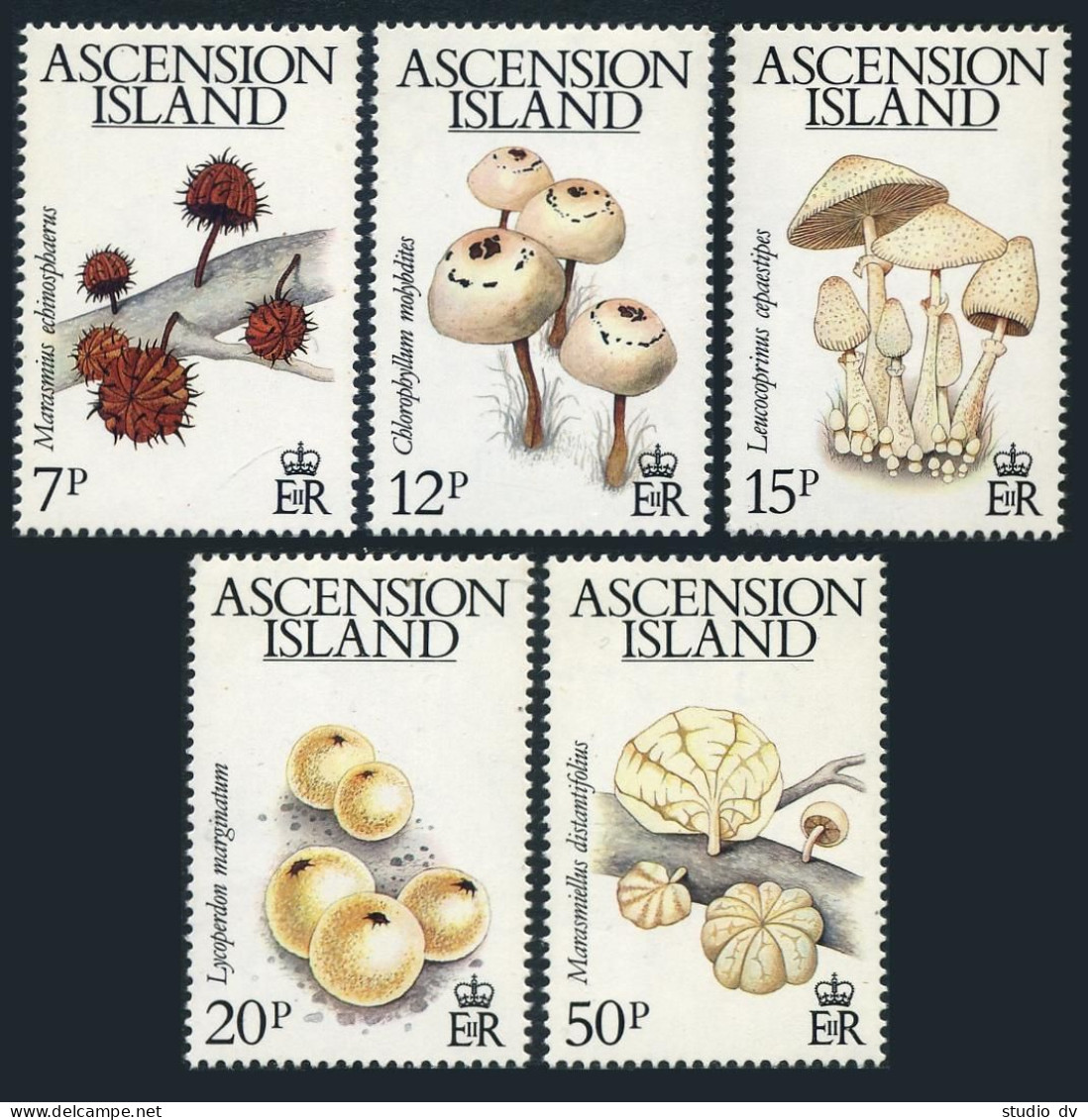 Ascension 323-327,MNH.Michel 332-336. Mushrooms 1983. - Ascension