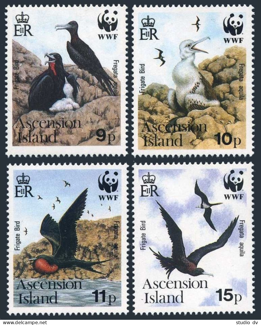 Ascension 483-486, MNH. Michel 521-524. WWF 1990. Frigate-birds Fregata Aquila. - Ascension (Ile De L')