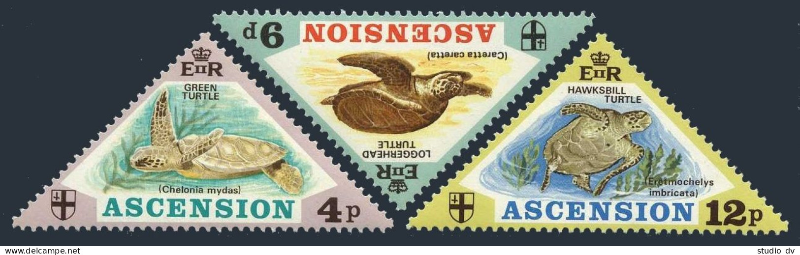 Ascension 170-172, MNH. Mi 170-172. Turtles 1973. Green, Loggerhead, Hawksbill. - Ascension (Ile De L')