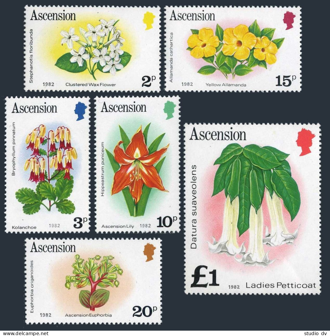 Ascension 274-288,275a-287a,MNH.Michel 276-290,277-289-II. Flowers 1981-1982. - Ascension