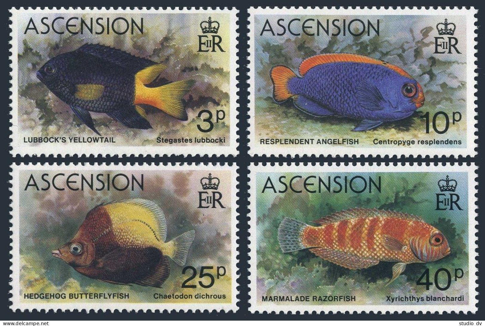Ascension 262-265,MNH.Michel 264-267. Fish 1980:Yellowtail,Angel,Butterfly-fish, - Ascension (Ile De L')