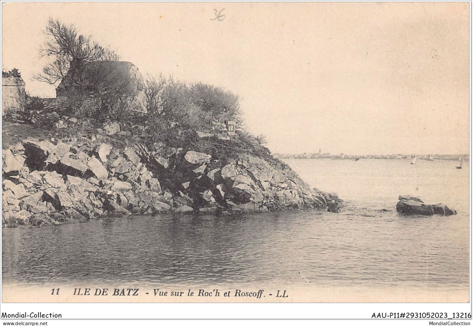 AAUP11-29-1029 - ILE DE BATZ - Vue Sur Le Roc'H Et Roscoff - Ile-de-Batz