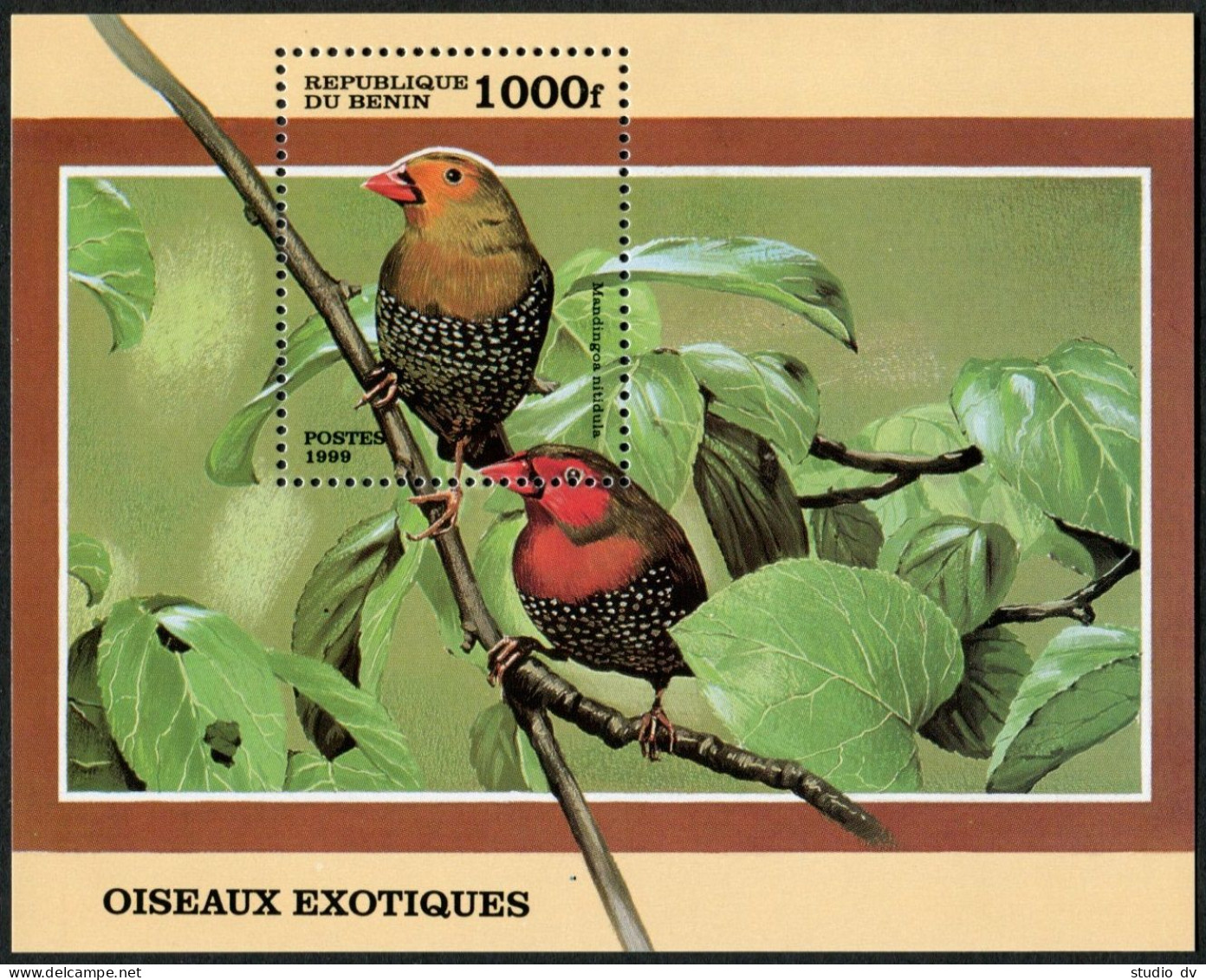Benin 1126, MNH. Michel 1125 Bl.45. Birds 1999. Mandingoa Nitidula. - Bénin – Dahomey (1960-...)