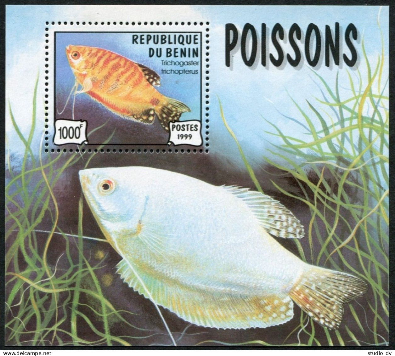 Benin 1154, MNH. Michel 1169 Bl.49. Fish Trichogaster Trichopterus, 1999. - Benin – Dahomey (1960-...)