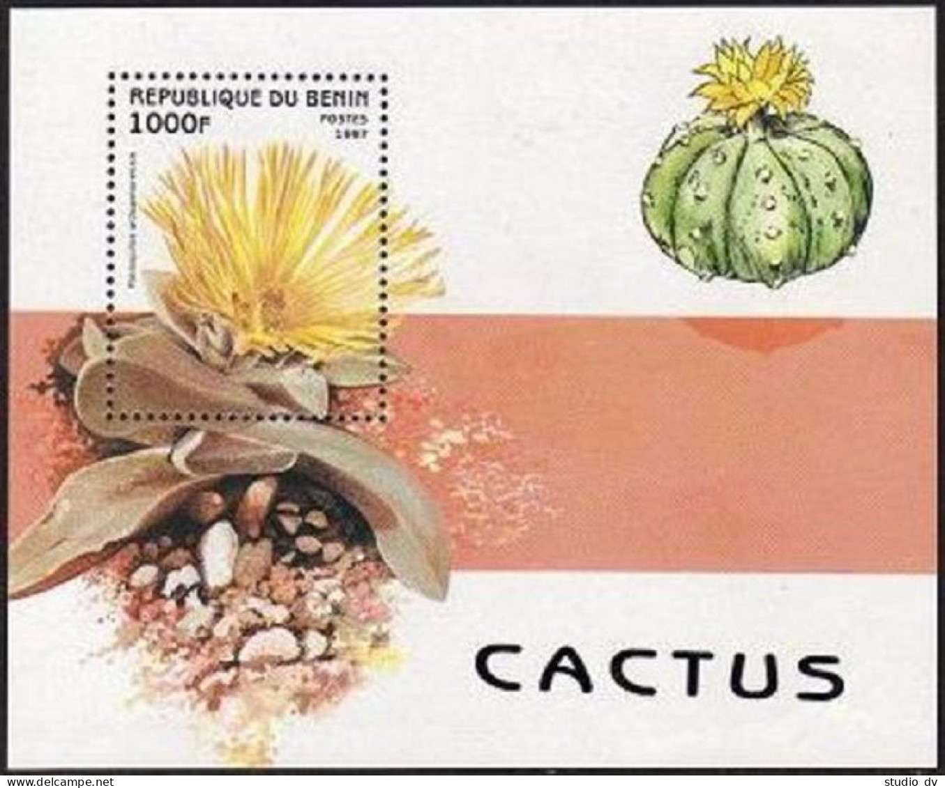 Benin 1001-1006, 1007, MNH. Michel 964-969, 970 Bl.32. Flowering Cactus, 1997. - Benin - Dahomey (1960-...)