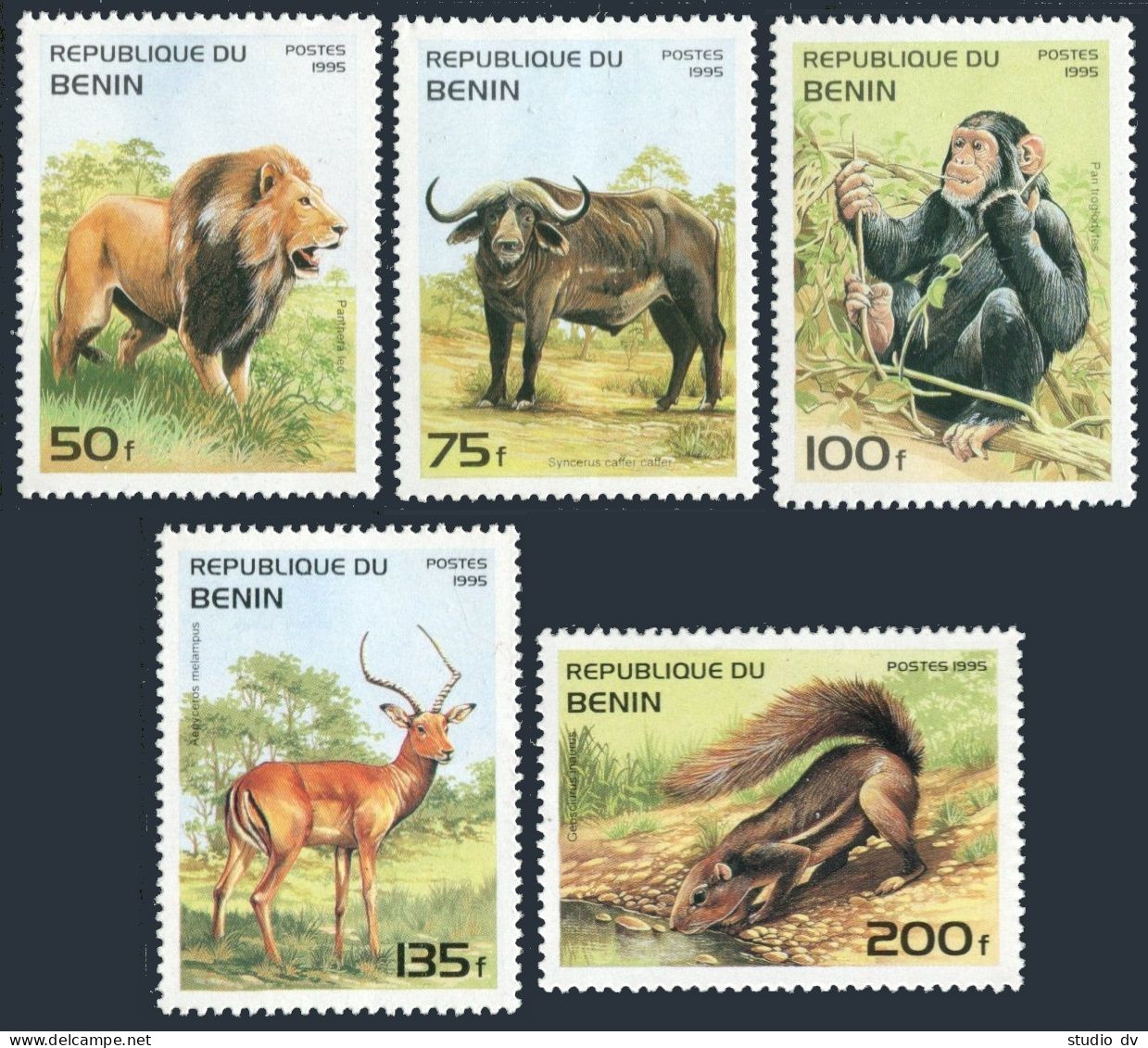Benin 774-778,779, MNH. Mi 691-695, Bl.13. Wild Mammals 1995: Panthera, Caffer, - Bénin – Dahomey (1960-...)