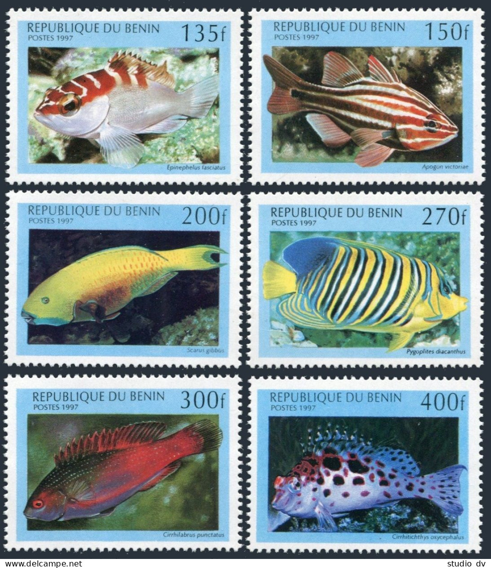 Benin 1047-1052, 1053, MNH. Michel 978-983, 984 Bl.34. Fish 1997. - Bénin – Dahomey (1960-...)