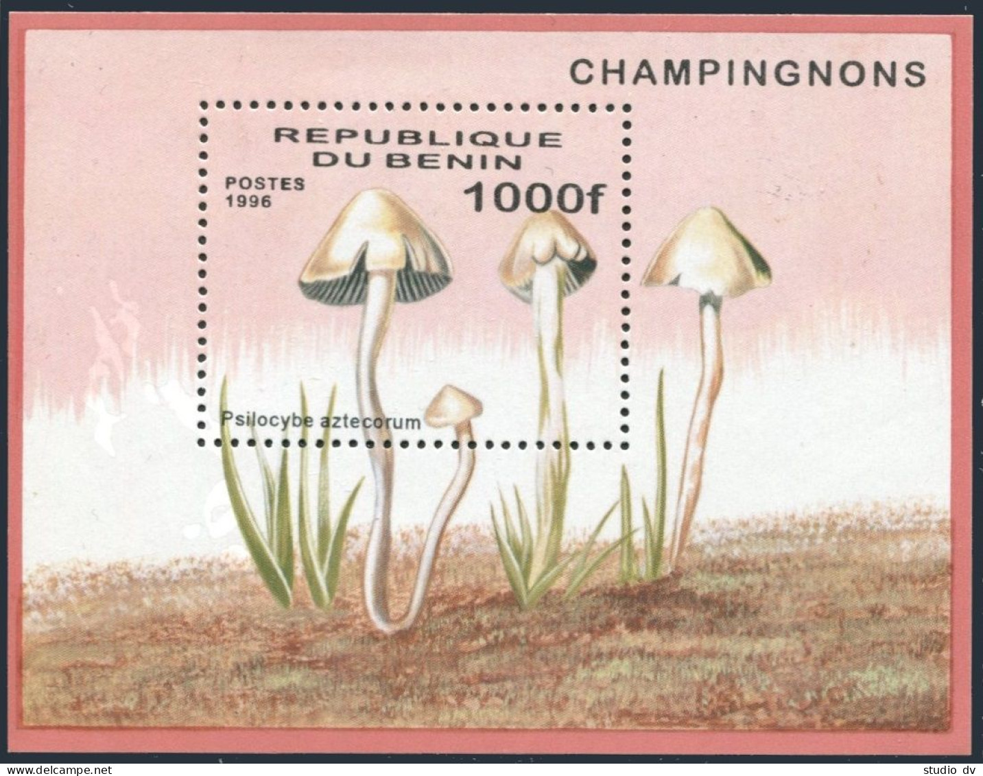 Benin 877-882,883, MNH. Michel 849-854, 855 Bl.22. Mushrooms 1996. - Benin - Dahomey (1960-...)