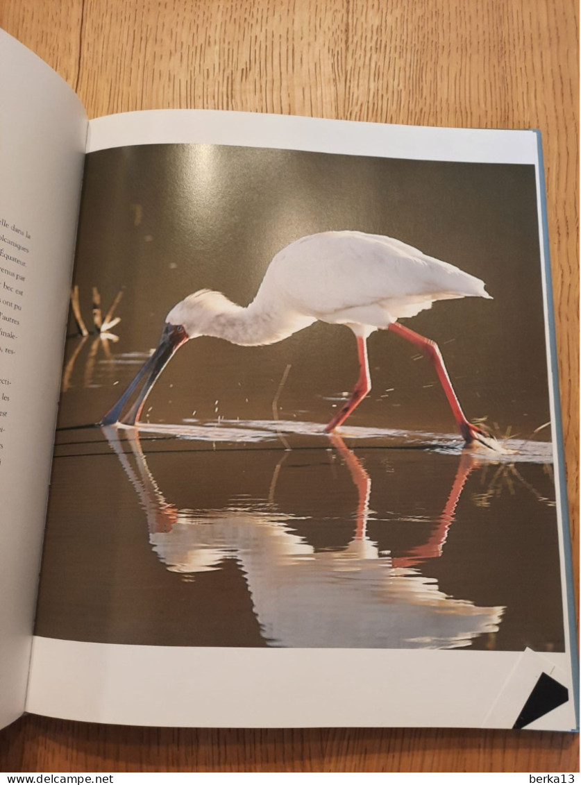 La Vie Des Oiseaux ALBOUY 2005 - Animaux