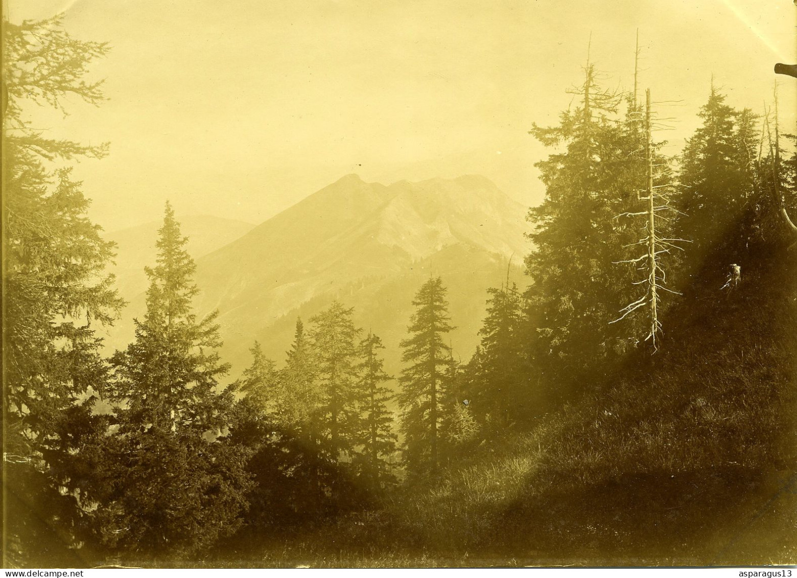 Colmars Les Alpes Vers 1890 Lot De 2 Photos 18X12 - Europe