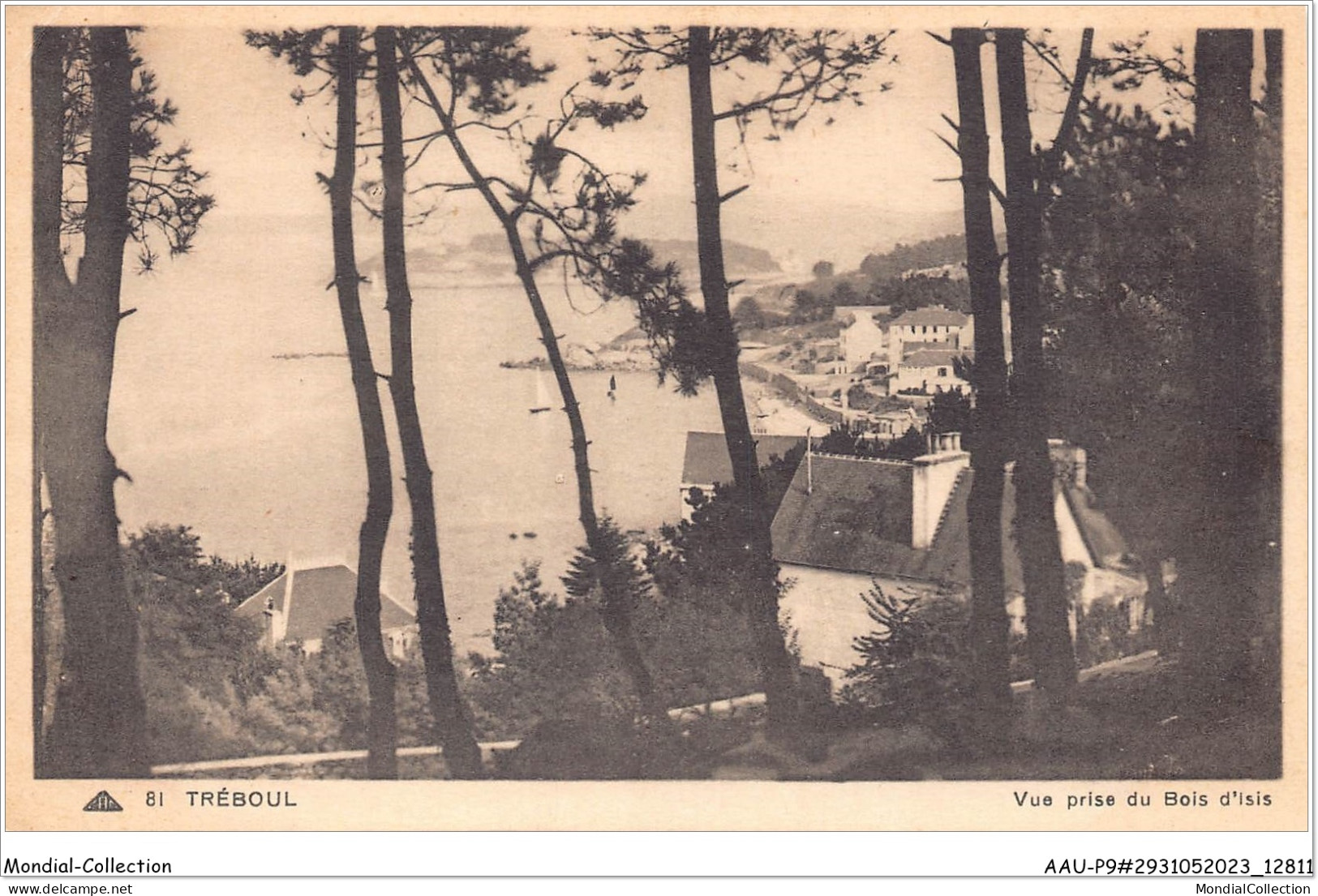 AAUP9-29-0827 - TREBOUL - Vue Prise Du Bois D'Isis - Tréboul