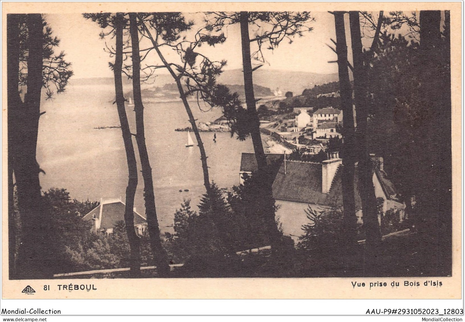 AAUP9-29-0823 - TREBOUL - Vue Prise Du Bois D'Isis - Tréboul