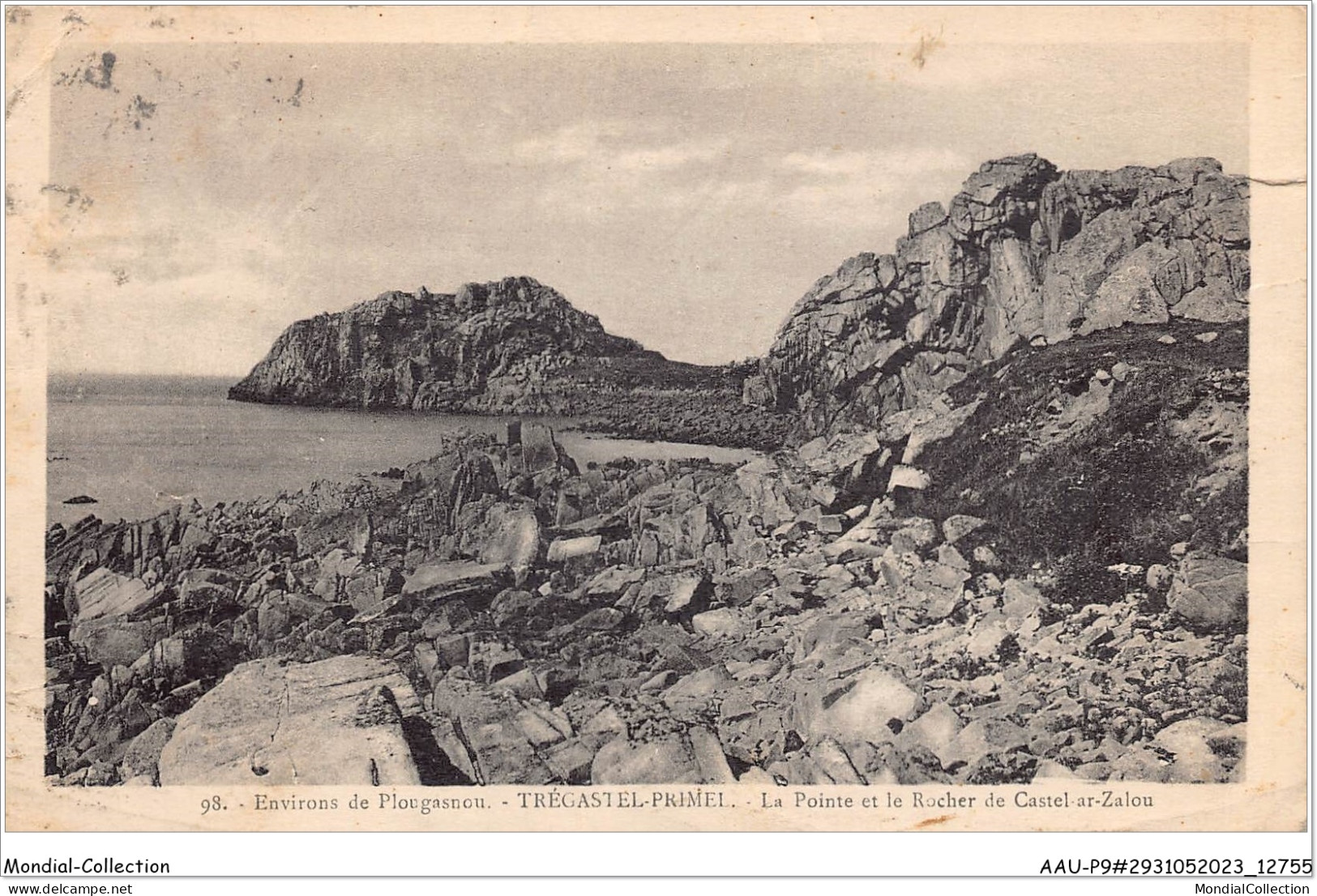 AAUP9-29-0799 - TREGASTEL-PRIMEL - La Pointe Et Le Rocher  De Castel Ar-Zalou - Primel