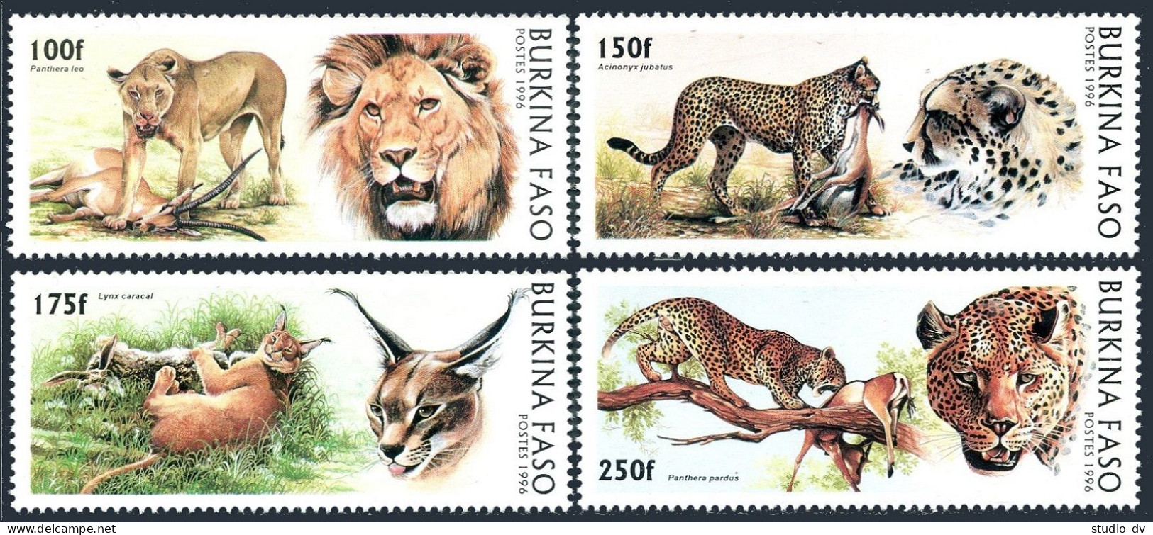 Burkina Faso 1079-1082, MNH. Mi 1437-1440. Wild Cats 1996. Panthera Leo, Lynx, - Burkina Faso (1984-...)