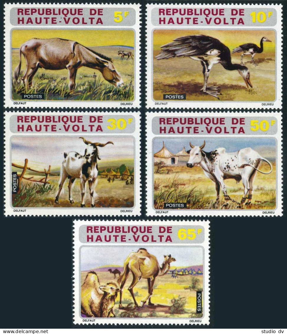 Burkina Faso 282-286, MNH. Mi 405-409. Domestic Animals,1972. Donkeys,Geese,Cow, - Burkina Faso (1984-...)