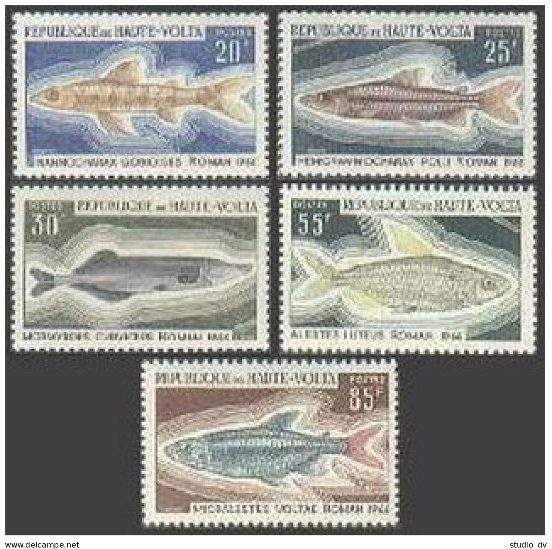 Burkina Faso 196-200,C66-C67, MNH. Michel 263-266,273-275. Fish 1969. Nile Pike, - Burkina Faso (1984-...)
