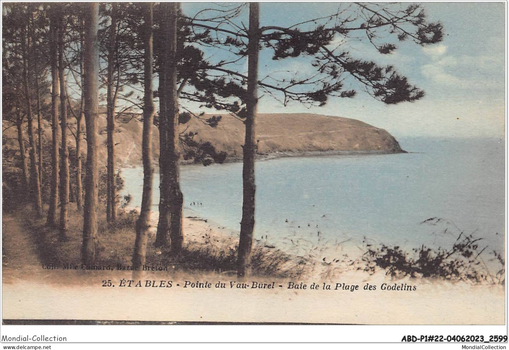 ABDP1-22-0047 - ETABLES - Pointe Du Vau-Burel - Baie De La Plage Du Godelins - Etables-sur-Mer