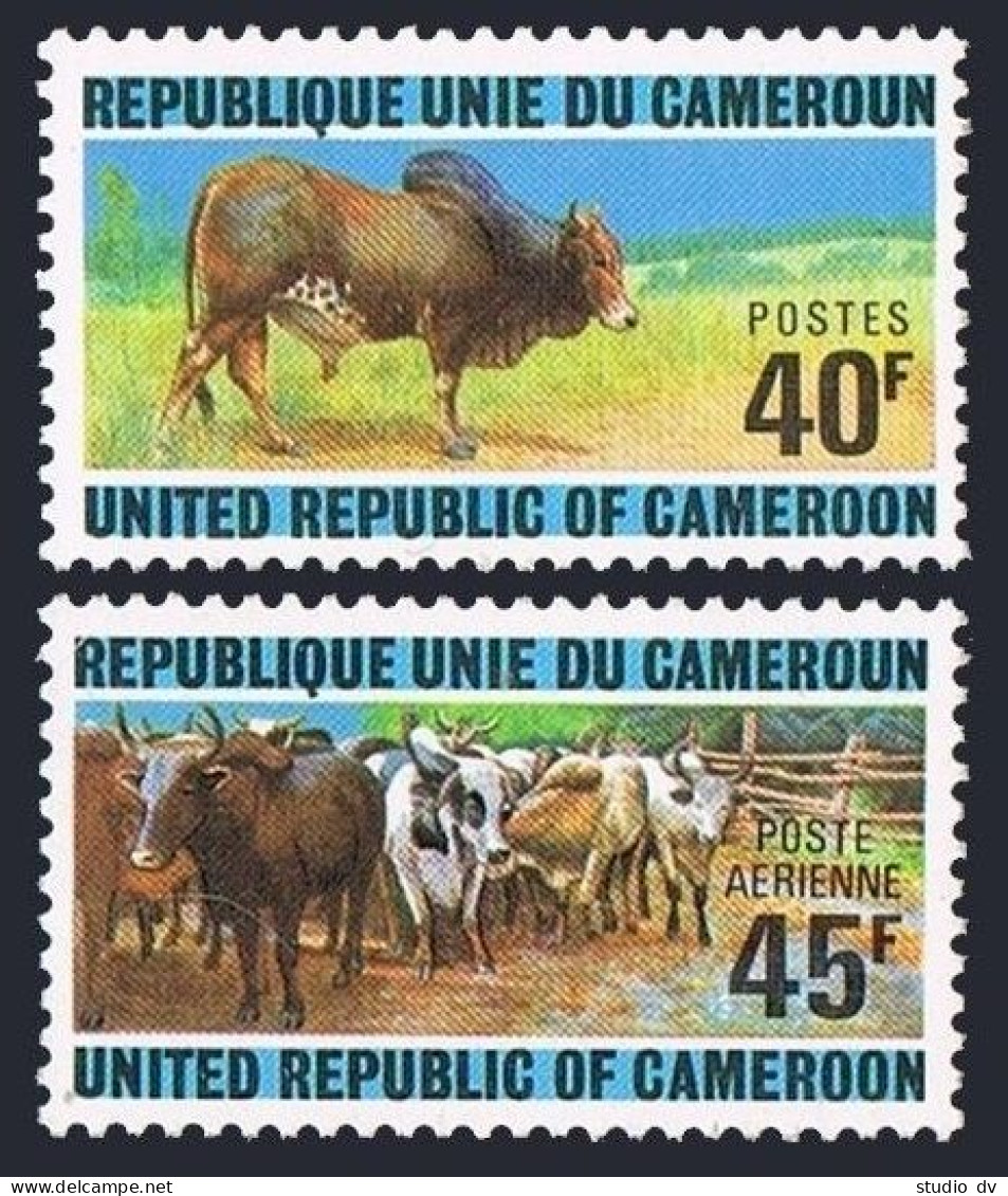 Cameroun 588,C210,hinged.Michel 766-767. Cameroun Cattle Raising,1974.Zebu. - Kameroen (1960-...)